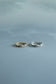 5「Impressionism」2mm