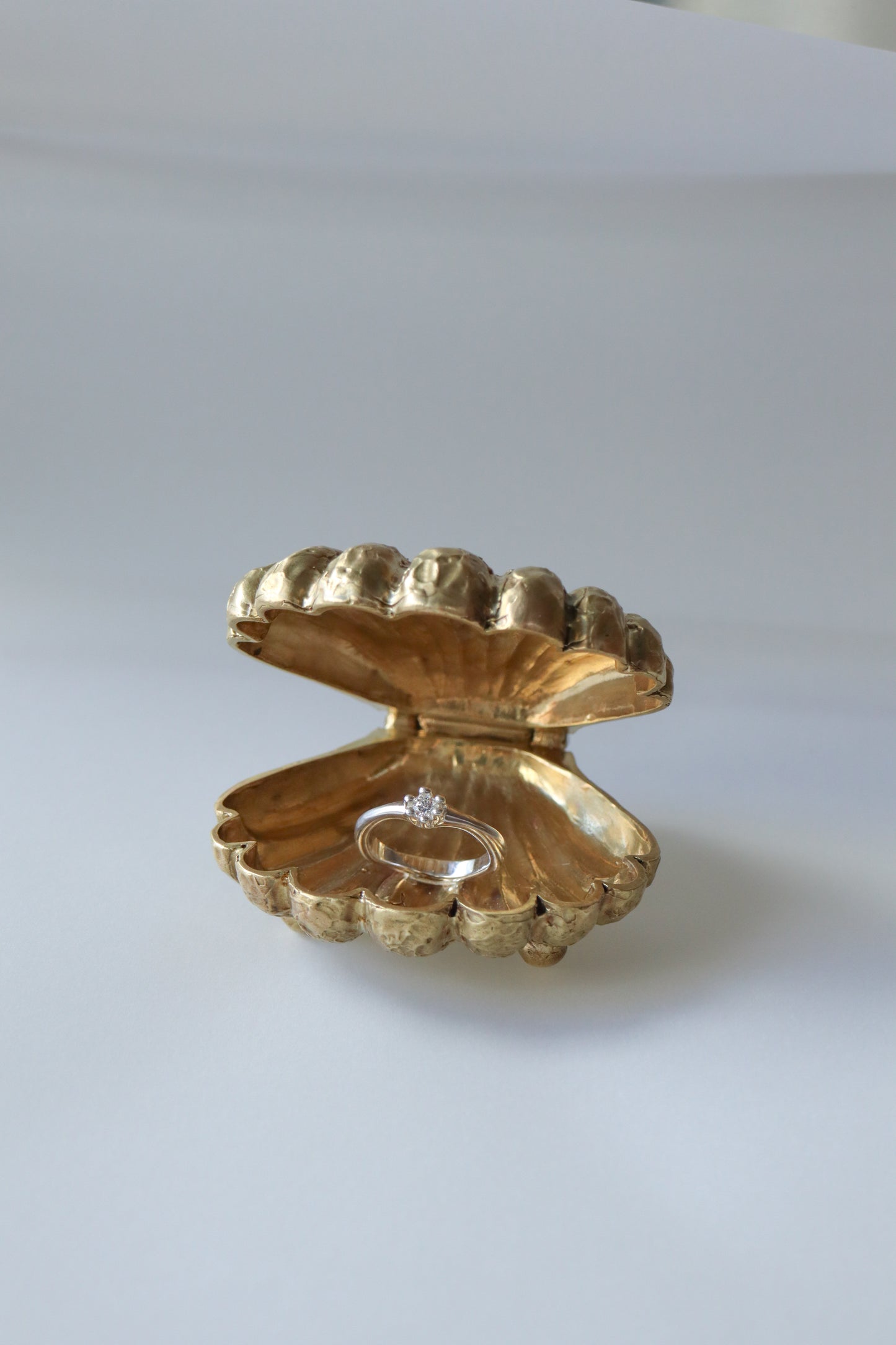 Shell Case/プロポーズケース貸出