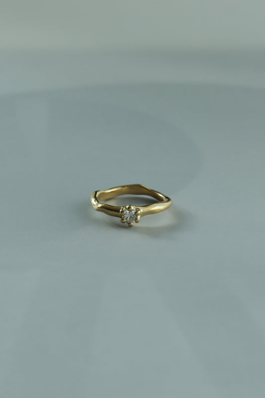 22_3 Fauvisme Engage_6本爪(lab-grown diamond/diamond)
